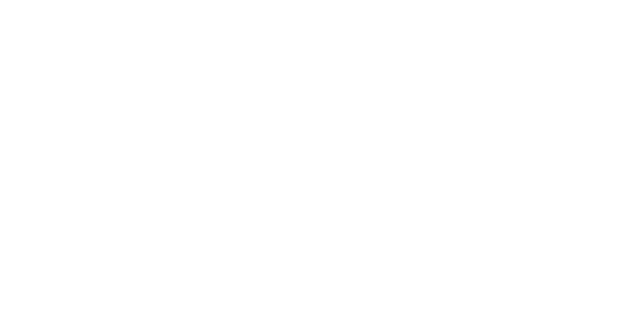 Next Level Business Strategies